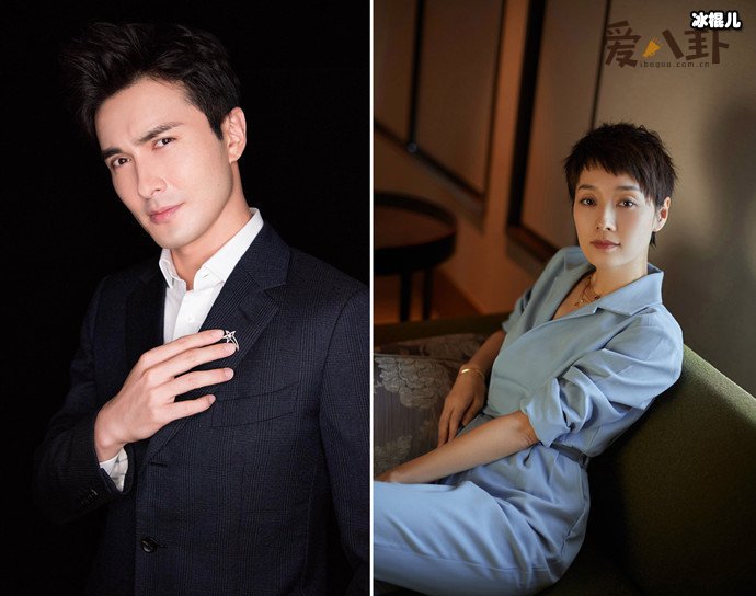 马伊琍离婚后再寻新欢?男方居然是高伟光!