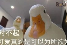宠物柯尔鸭因为王珞丹爆火,网友看到价格后表示买不起!-捕鱼中文站