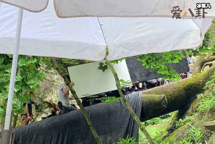 《皓衣行》闹幺蛾子,剧组公然打人伤着者被送医院?