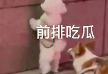 泉州中远学校初三学生陈思莹 与男友教室不雅视频流出,周二大发奖励畅玩免费旋转!-捕鱼中文站