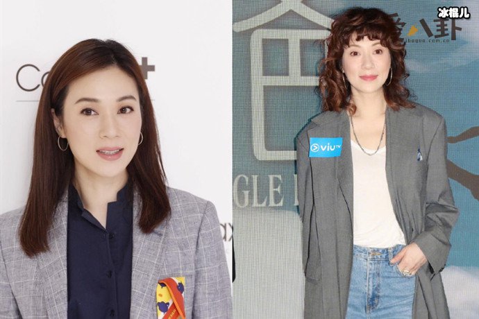 张可颐情史遭扒,年过半百依旧单身是为何?