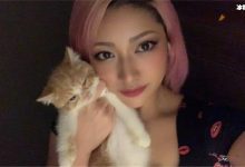 日本女星木村花自杀,生平经历起底让人惋惜!-捕鱼中文站