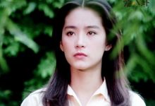 林青霞秦汉有情人终成眷属，分开25年再聚首！-捕鱼中文站