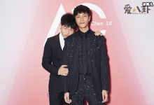 陈坤儿子生母是何琳？二人分手疑似丈母娘不同意！-捕鱼中文站