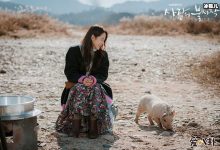 韩剧《爱的迫降》破韩网收视率记录,剧情跌宕起伏引追剧狂潮!-捕鱼中文站