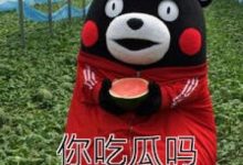河南新乡职业技术学院事件视频是怎么回事? 情侣晚上野战被偷拍视频是假的!,周二大发奖励畅玩免费旋转!-捕鱼中文站