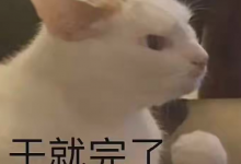 大学生特种兵旅游是什么意思 大学生特种兵式旅游梗,周二大发奖励畅玩免费旋转!-捕鱼中文站