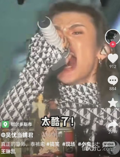 小鬼泰裤辣表情包一览