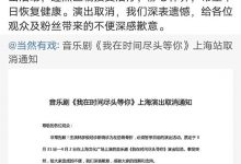 林彦俊因左肋骨骨折,音乐剧上海站的演出取消-捕鱼中文站