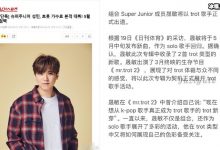 韩星李晟敏将trot出道,于5月中旬发布新曲-捕鱼中文站