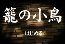 [日式SLG/生肉/凌辱/动态/CV][RJ013660]籠の小鳥[120M/FM/百度]-捕鱼中文站