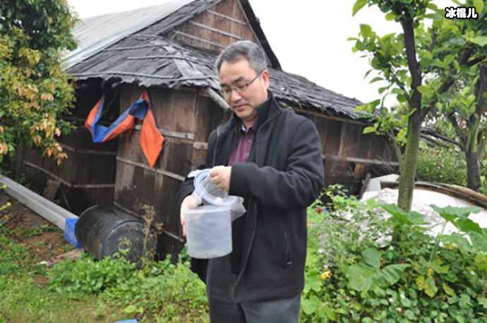 蚊子居然还有人工养殖的，网友疑问难道不会被打吗？