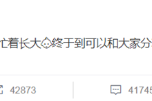 马丽官宣怀孕,网友:孩子是沈腾的吗?-捕鱼中文站