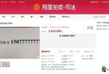 “391万买一个手机号”,什么手机号居然这么贵?-捕鱼中文站