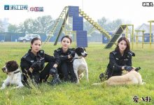 《警花与警犬》讲述的什么内容?剧中亮点居然是她!-捕鱼中文站
