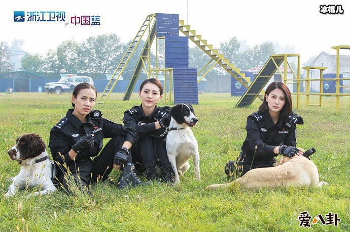 《警花与警犬》讲述的什么内容?剧中亮点居然是她!