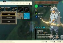 《塞尔达传说王国之泪》克洛格森林萨莉娅湖路线一览-捕鱼中文站