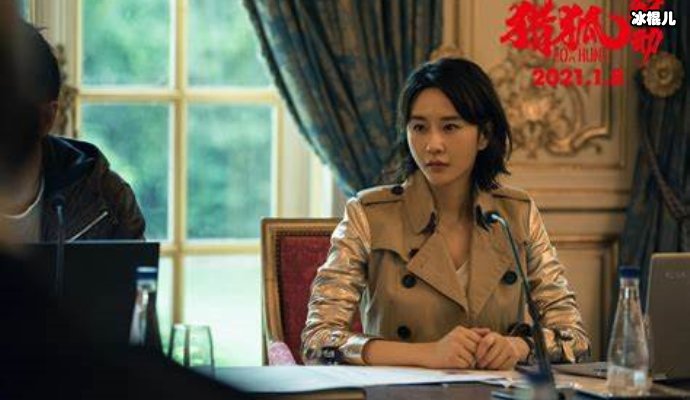 《猎狐》王柏林成光杆司令,被遣返回国原因!