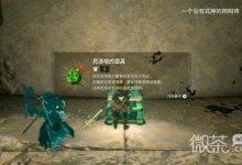 《塞尔达传说王国之泪》克洛格面具获取教程一览-捕鱼中文站