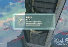 《塞尔达传说王国之泪》王城装备搜刮攻略一览-捕鱼中文站