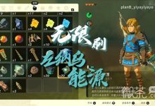 《塞尔达传说王国之泪》无限刷左纳乌能源视频教程一览-捕鱼中文站