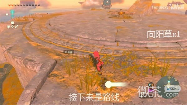 《塞尔达传说王国之泪》向阳草采集路线一览