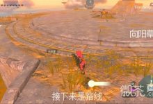 《塞尔达传说王国之泪》向阳草采集路线演示一览-捕鱼中文站