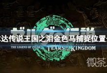 《塞尔达传说王国之泪》金色马位置一览-捕鱼中文站