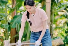 《向往》口碑持续好评，舒适的相处方式让人羡慕！-捕鱼中文站