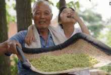 《风味人间》回归,口碑评分依旧优秀!-捕鱼中文站