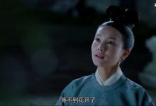 《鹤唳华亭》萧定权当上皇帝了吗?他的结局又如何?-捕鱼中文站