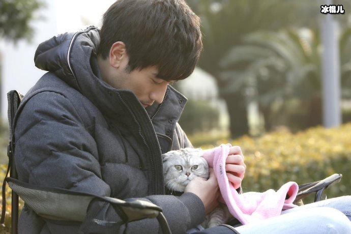 《遇见王沥川》这部剧高以翔圈粉无数，是永远的精品！