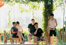 《向往》收官再唱《心火烧》，回忆还是创新报幕打破了深思！-捕鱼中文站