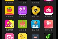 [精品破解] 小视频软件集合，最新版&内置100个APP&你喜欢的不止一款！-捕鱼中文站