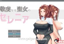 【RPG/汉化】人妻NTR：虔诚圣女塞莲妮亚 云汉化正式版【新作/详尽エロ属性/800M/百度】-捕鱼中文站