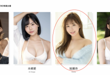 确定了!絵麗奈(绘丽奈)的第三支作品有谱了!-捕鱼中文站