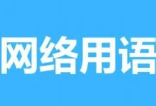 亽仒凣凣梗意思详情-捕鱼中文站