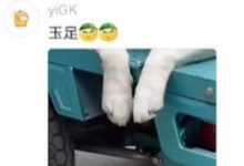 玉足梗意思一览-捕鱼中文站