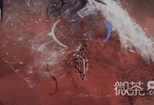 《命运方舟》阿卡忒斯打法攻略一览-捕鱼中文站