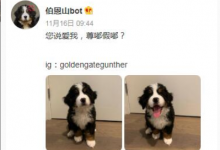 尊嘟假嘟梗意思一览-捕鱼中文站