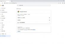 分享一个谷歌浏览器增强版 Google Chrome v115.0.5790.99  你值得拥有-捕鱼中文站