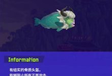 《潜水员戴夫》战盔鹦嘴鱼在哪里找-捕鱼中文站