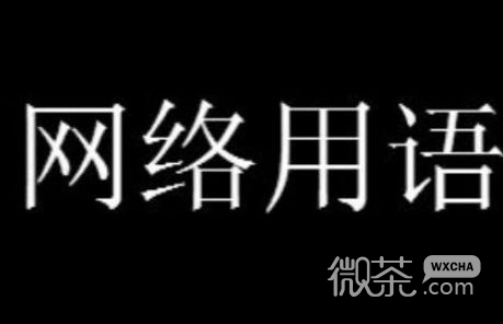 星期零是星期几梗是个什么意思