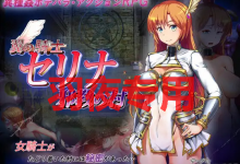 [动作RPG/新作/机翻] 骑士塞琳娜与邪教之村/ 翼の騎士セリナ 邪教の村 [度盘/秒传][1G]-捕鱼中文站