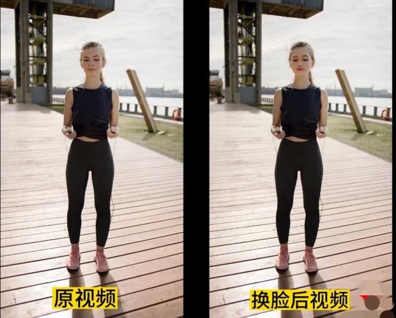 [精品软件]黑科技-AI人脸替换工具离线版V1.2 （图片+视频）