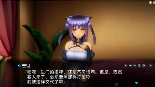[3D互动汉化全CV]奴役漩涡 Insult Order：狂妄喵娘的快堕菜单 V1.04 精翻汉化版+作弊[电脑5.1G/FM/BD]