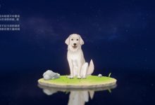 《原神》亮灰猎犬在哪找攻略-捕鱼中文站
