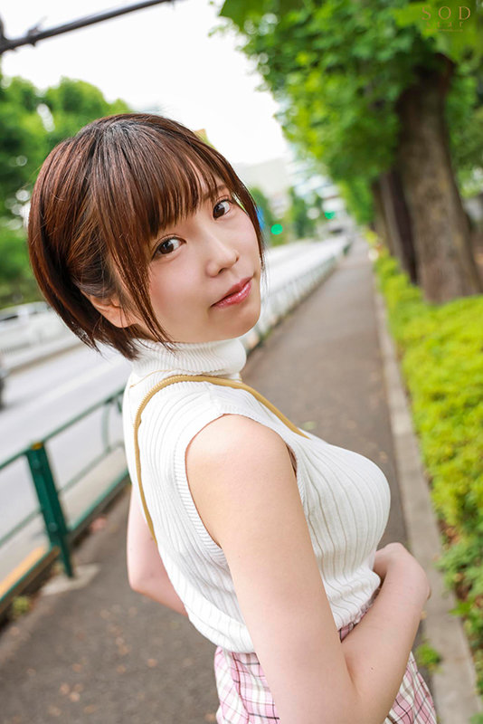 月乃雏(月乃ひな)出道作品番号及封面,月乃ひな个人简介