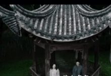 《八角亭谜雾》念玫为什么和小姑长得像一模一样？田老师是凶手吗？-捕鱼中文站