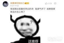 陆游气坏了梗是什么意思详情-捕鱼中文站